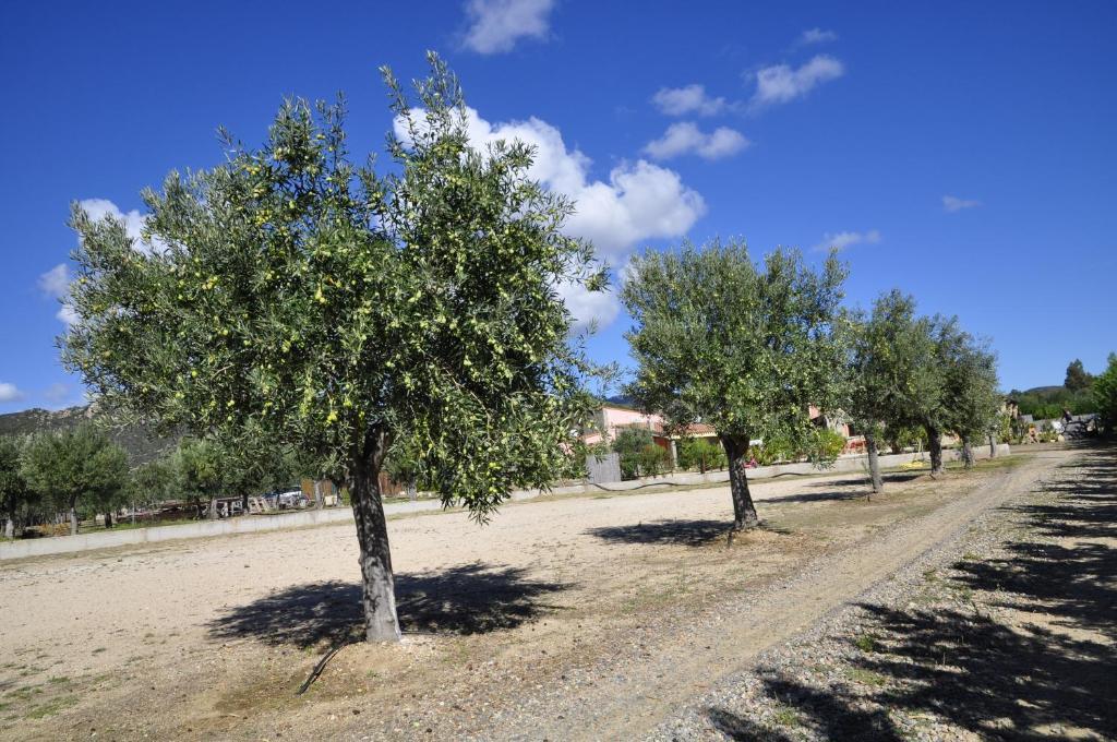 B&B I Graniti Sardi Villasimius Luaran gambar